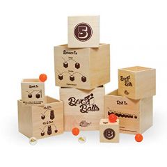 Fat Brain Toys DIY Miniature Model Kit: Harper's Library - C